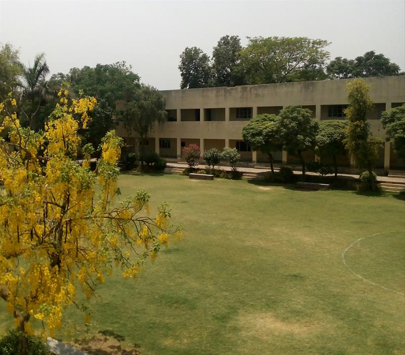 Inner ground D.A.V. College Bathinda