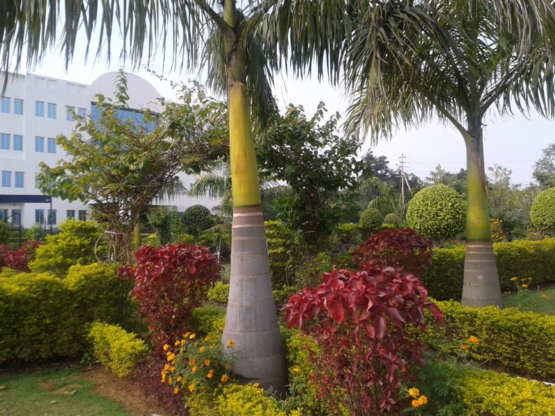 Herbal Garden view infront of admin building