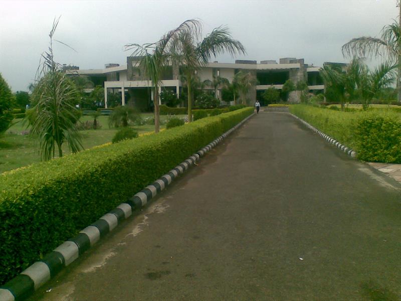 RCC road inside JUET campus Guna