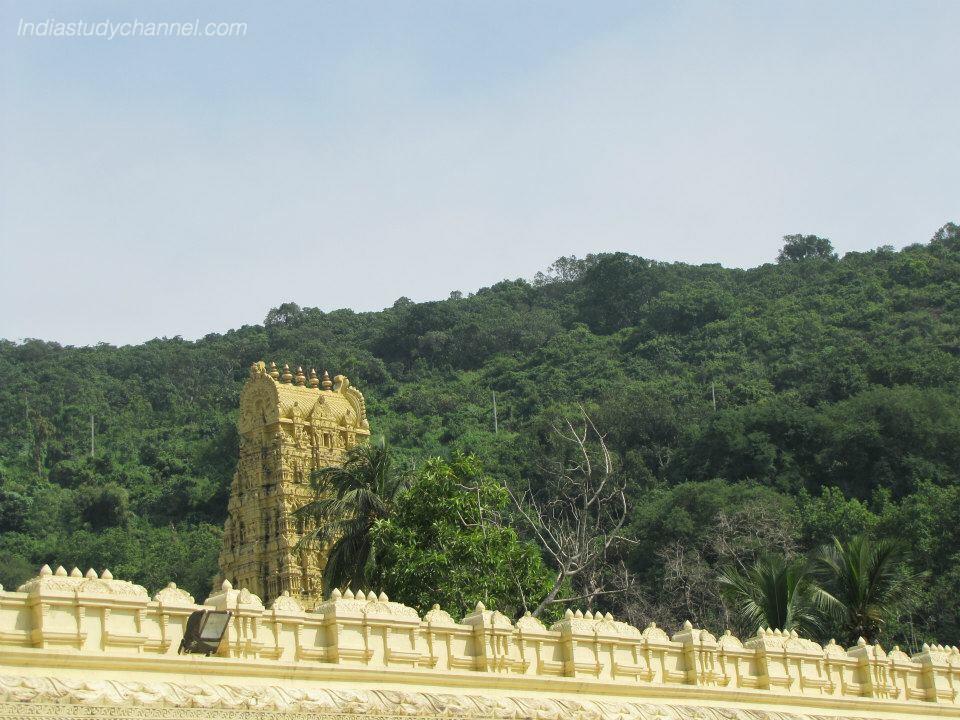 Gopuram of Sri Laxmi Narasimha Swamy Temple, Simhachalam