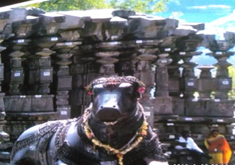 Sculpture of Nandi at Thousand Pillars Temple, Warangal, Telangana