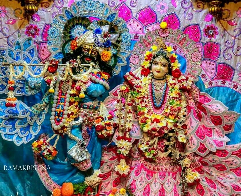 Sri Radha Shyamasunder at ISKCON, Vrundavan, Uttarpradesh
