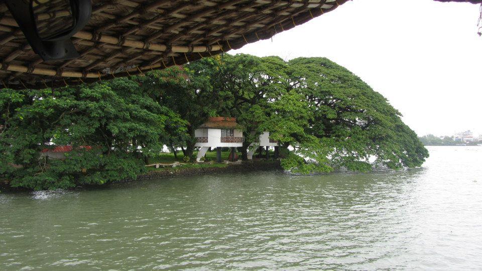 Backwaters - a view from a houseboat in Kerala