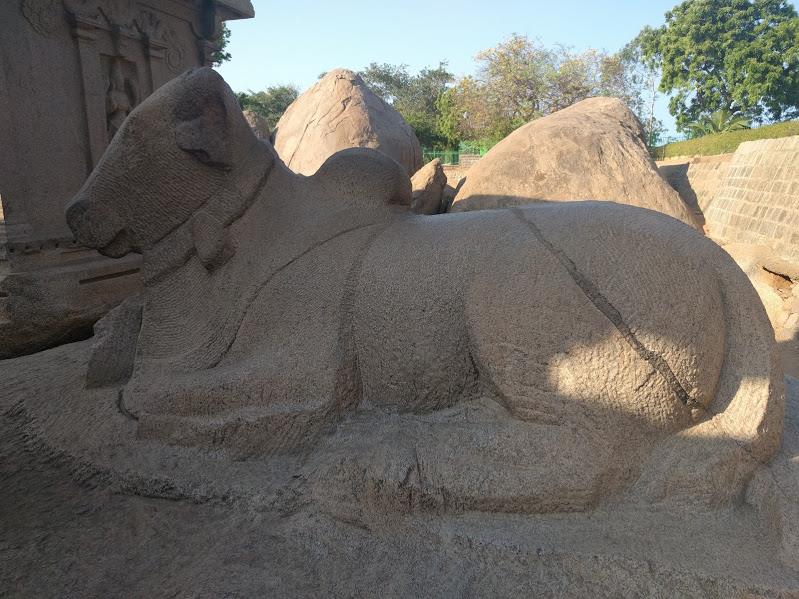 Nandi Bull at Panch Ratha