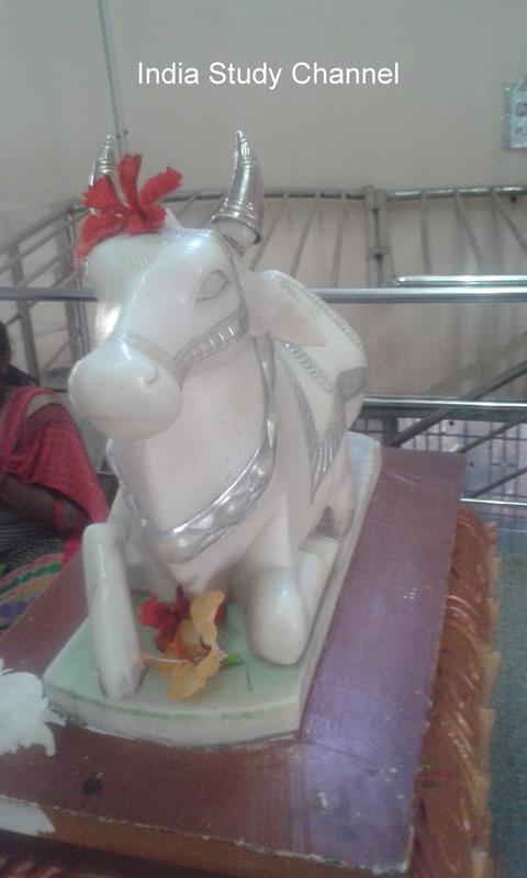 The beautiful White Marble Nandi,Hampi