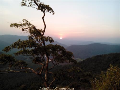 Jenukal Gudda - Sunset Point