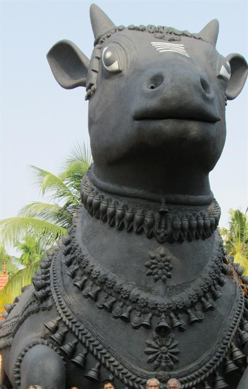 Giand Nandi (bull)statue at Aimury Siva Temple, Koovappady