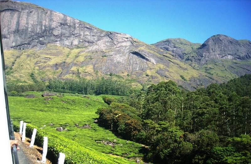 Trekking route in Eravikulam National Park