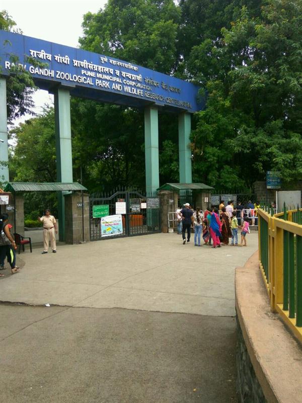 Rajiv Gandhi Zoological Park, Katraj
