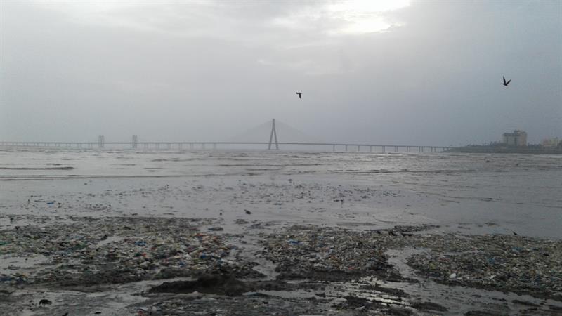 Mumbais Worli- Bandra Sealink.
