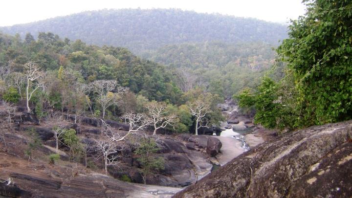 The Dense forest at Putudi waterfall, Phulbani, Odisha