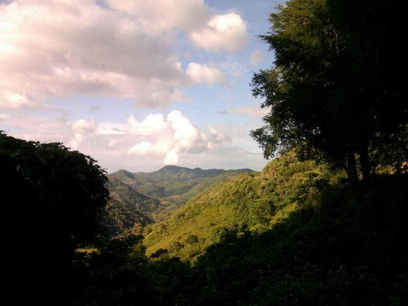 The scenic beauty of Eastern ghats on the way to Sunabeda