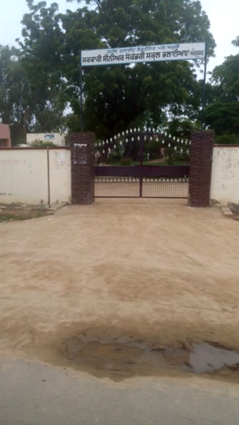 Government Senior Secondary School,Bhaliana