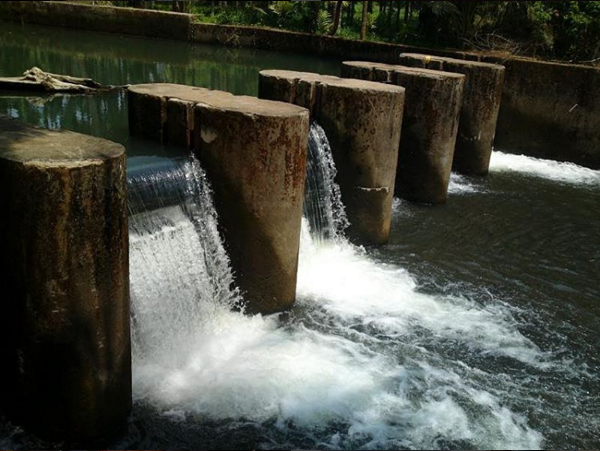 Sal Dam, Bicholim