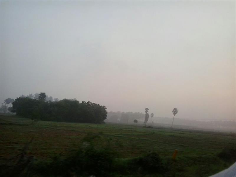 Winter season in Kannamanaickanur