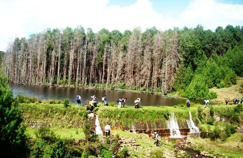 Berijam Lake near Kodaikanal, Tamil Nadu