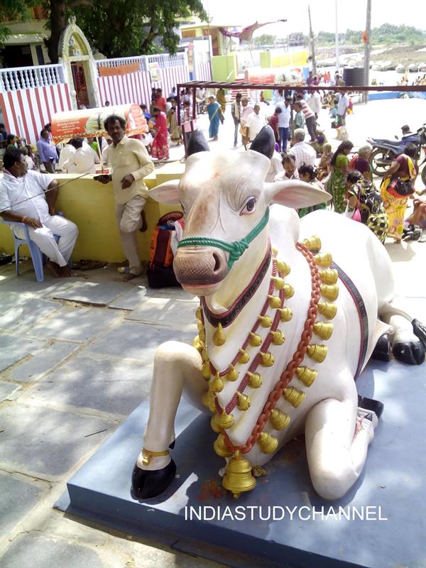 Gomatha statue infront of Shirdi Sai Mandir temple in Amaravathi Temple complex, Amaravathi