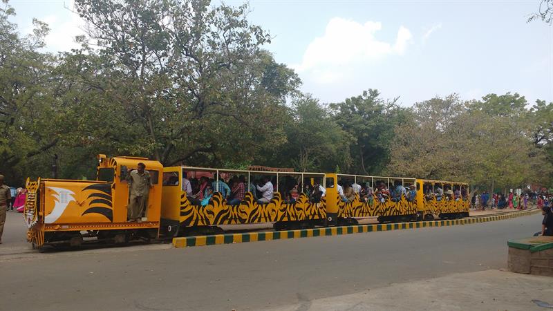 Amazing Narrow Guage Toy Train at Nehru Zoological Park,Hyderabad