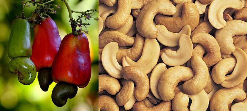 Cashew nuts