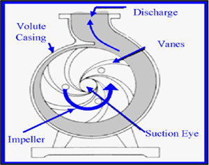working of centrifugal pump
