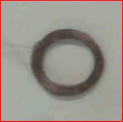coils