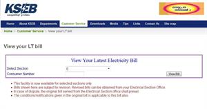 how to download your electricity bill