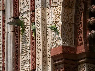 art and architecture of the delhi sultanates