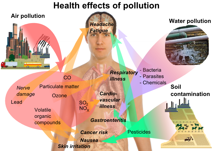 the consequences of the excessive amount of automobile emission on our health and our environment Nitrogen oxide (nox) pollution of pollutants that are considered to be harmful to health and the environment the site you are agreeing to our use of. the consequences of the excessive amount of automobile emission on our health and our environment Nitrogen oxide (nox) pollution of pollutants that are considered to be harmful to health and the environment the site you are agreeing to our use of.