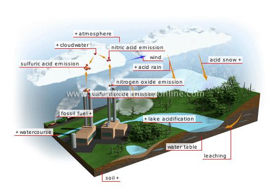 acid rain essay 25 Acid rain essay for class 5, 6, 7, 8, 9, 10, 11 and 12 find long and short essay on acid rain for children and students. acid rain essay 25 Acid rain essay for class 5, 6, 7, 8, 9, 10, 11 and 12 find long and short essay on acid rain for children and students.