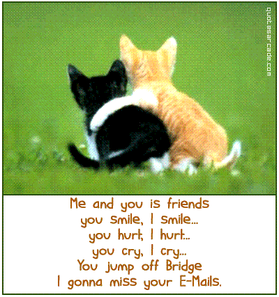 best friends quotes funny. funny quotes about friends.