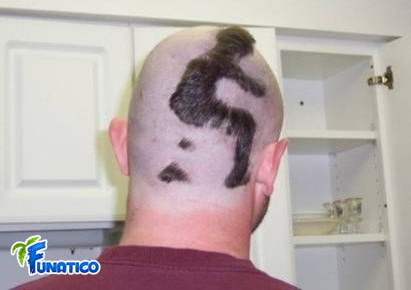 very funny pictures. very funny haircut