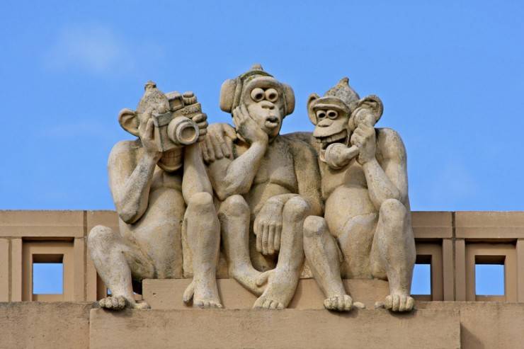 swaroopmj__3%20MONKEYS%20OF%2021ST%20CENTURY.jpg